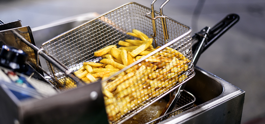 سرخ کن دو لگن بست مدل FB-E2